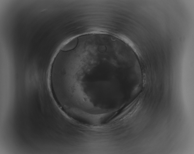 X0000100921379200806241335