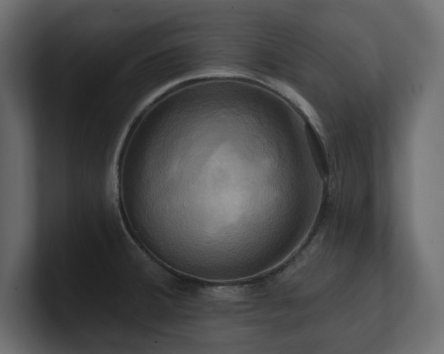X0000100921380200806241335
