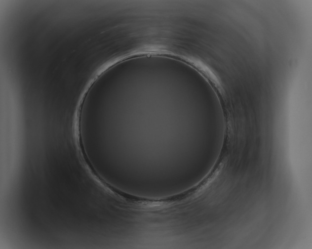 X0000100921382200806241335