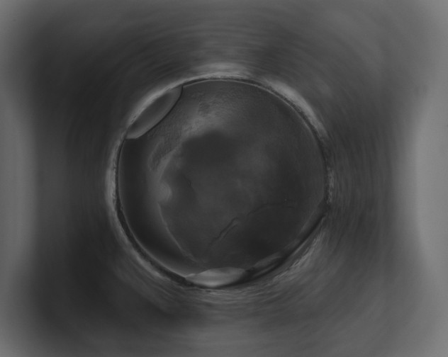 X0000100921383200806241335