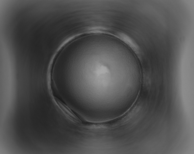X0000100921384200806241335