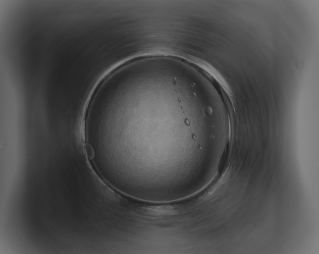 X0000100921388200806241335