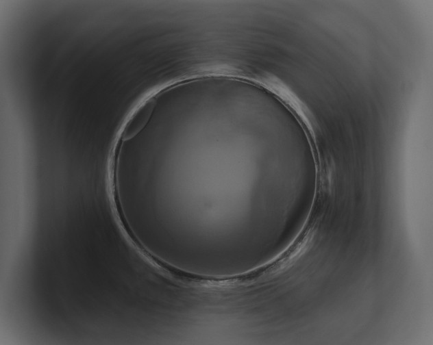 X0000100921389200806241335