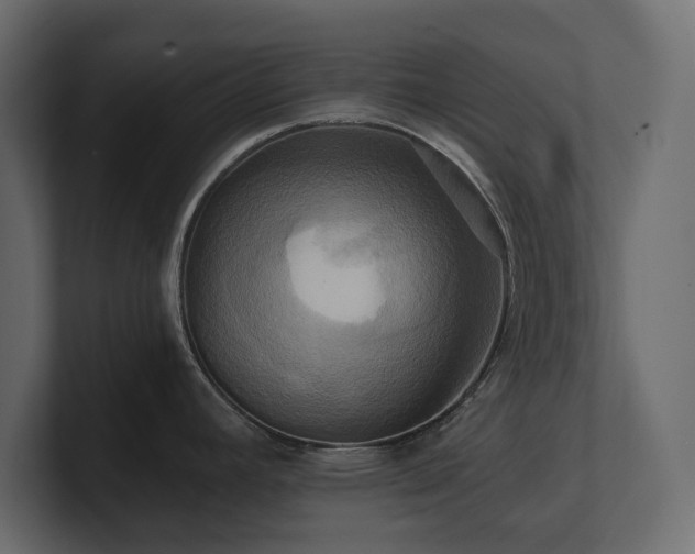 X0000100921392200806241335