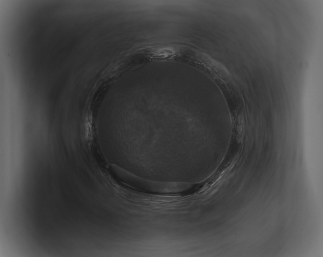 X0000100921394200806241334