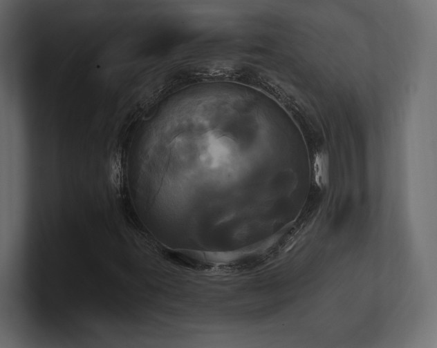 X0000100921395200806241334