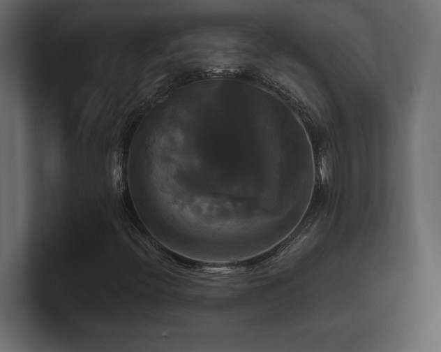 X0000100921396200806241334