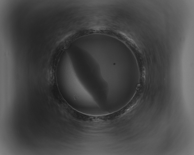 X0000100921398200806241334