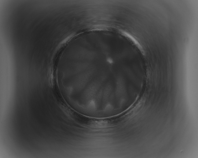 X0000100921403200806241335