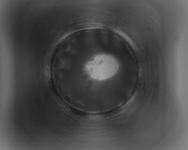X0000100921407200806241335