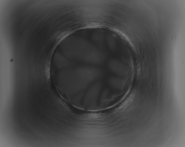 X0000100921409200806241335