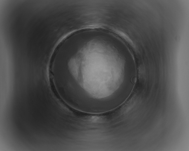 X0000100921412200806241335