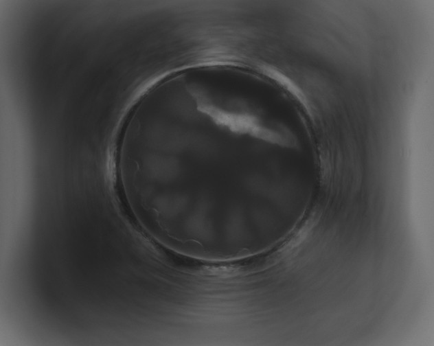 X0000100921415200806241335