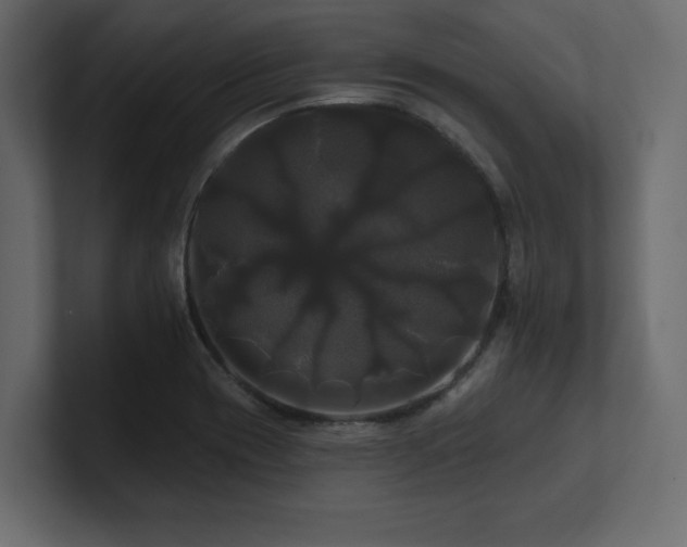 X0000100921417200806241335