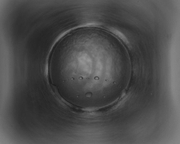 X0000100921420200806241335