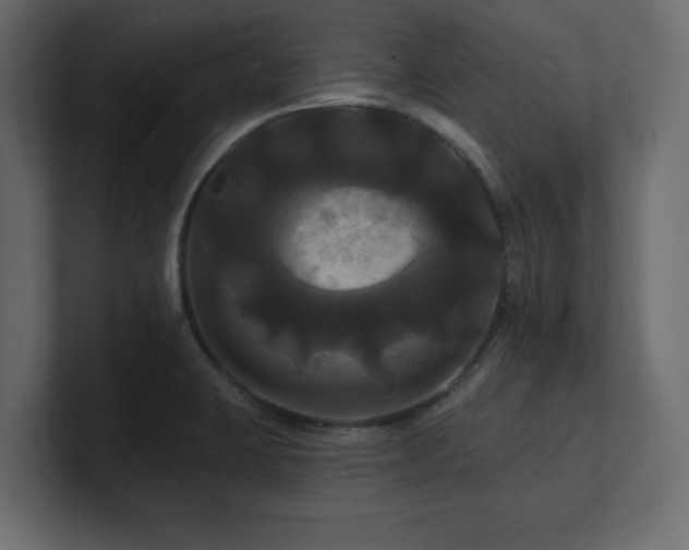 X0000100921423200806241335