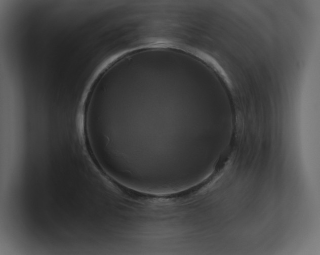X0000100921424200806241335