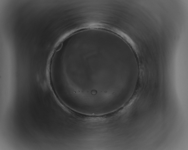 X0000100921429200806241335