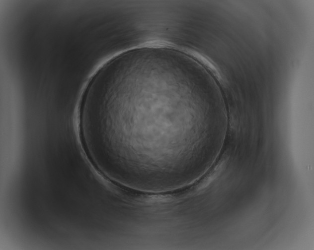 X0000100921430200806241335