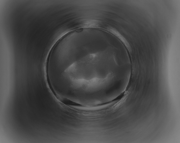 X0000100921434200806241335