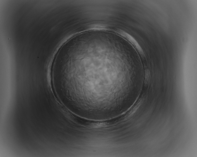X0000100921435200806241335