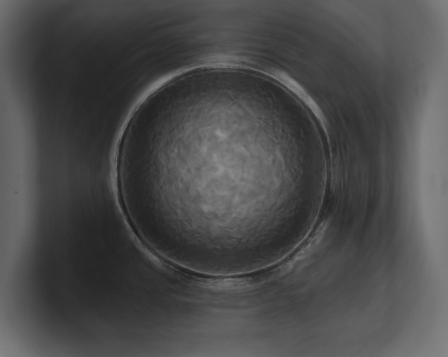 X0000100921437200806241335