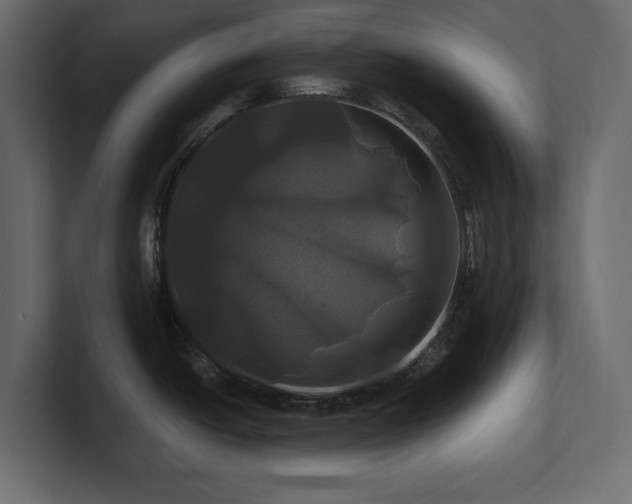 X0000100921438200806241335