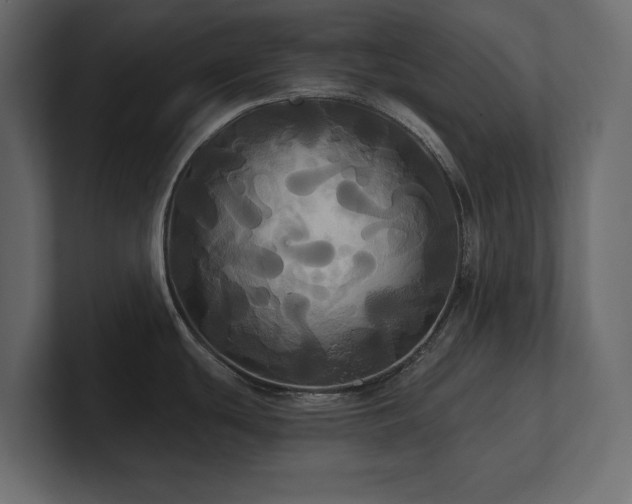 X0000100921439200806241335