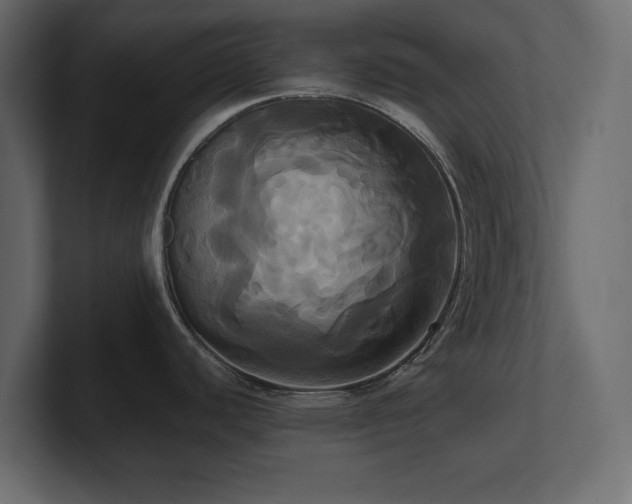 X0000100921440200806241335