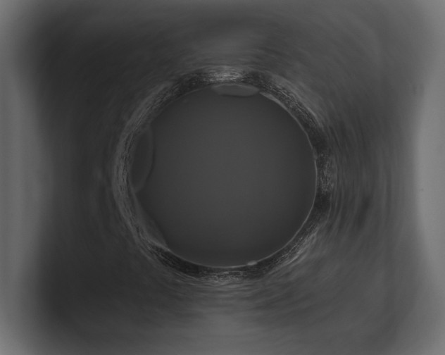 X0000100921441200806241334