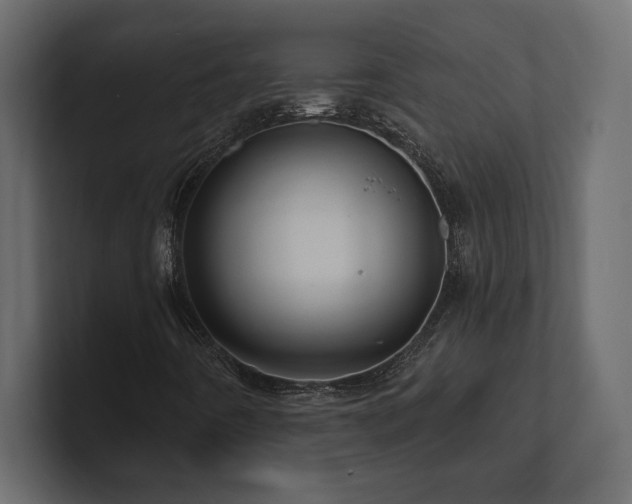 X0000100921442200806241334