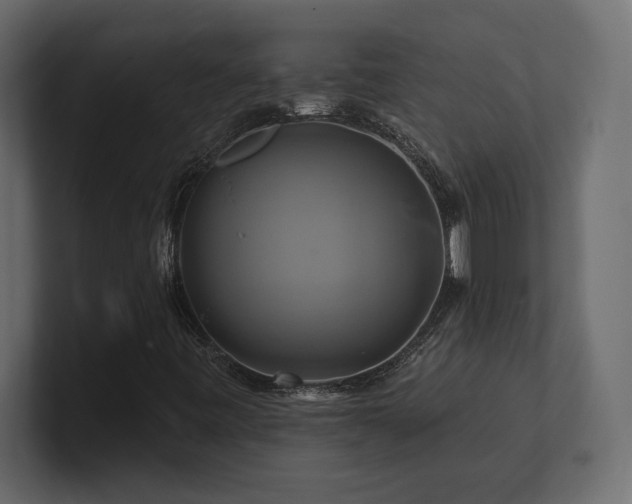 X0000100921443200806241334