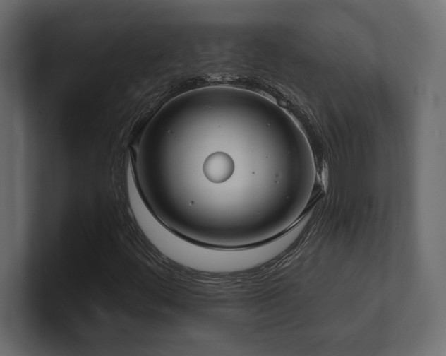 X0000100921444200806241334