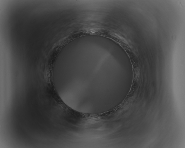 X0000100921446200806241334
