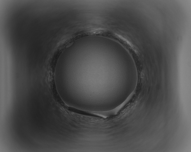 X0000100921447200806241334