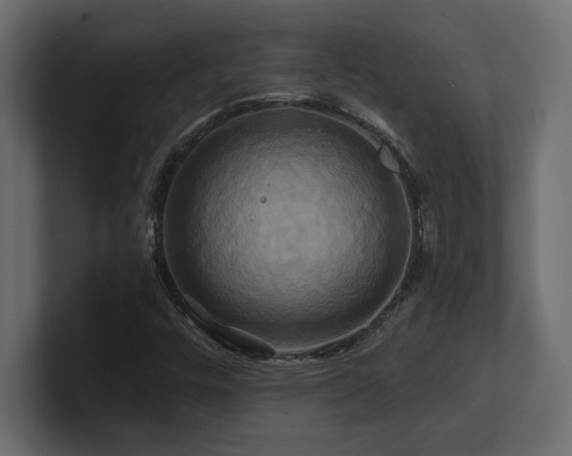 X0000100921448200806241334