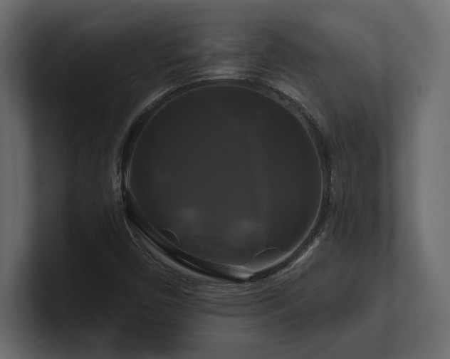 X0000100921450200806241334
