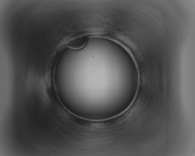 X0000100921451200806241334