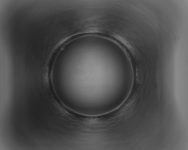 X0000100921452200806241334