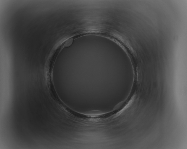 X0000100921453200806241334