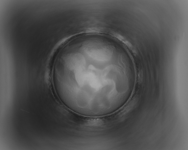 X0000100921454200806241334