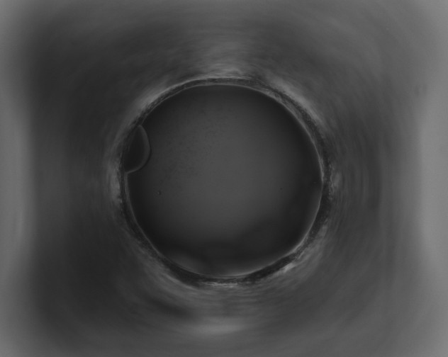 X0000100921455200806241334