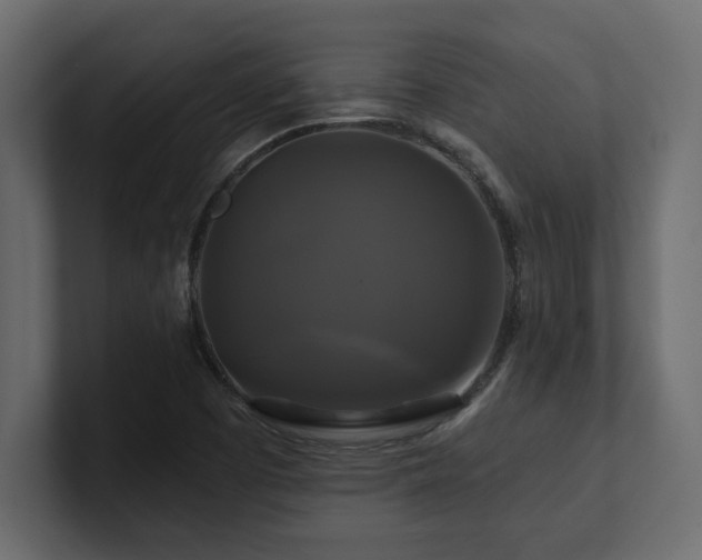 X0000100921457200806241334