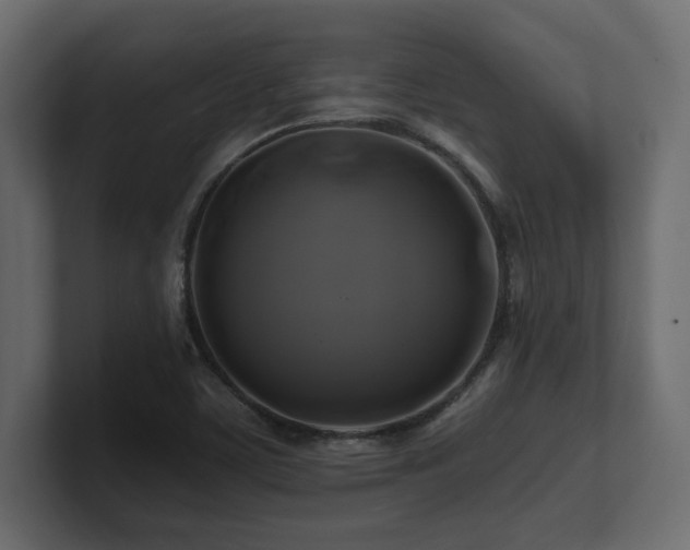 X0000100921459200806241334