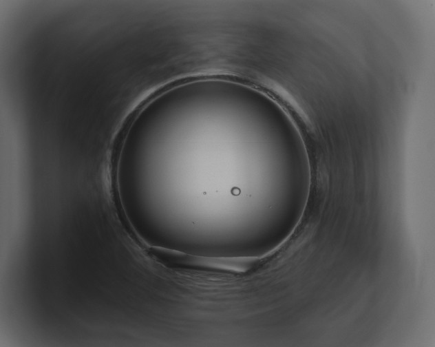 X0000100921460200806241334