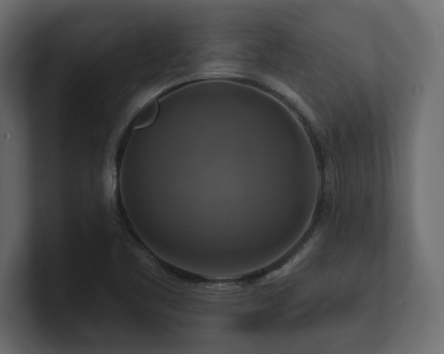 X0000100921461200806241334