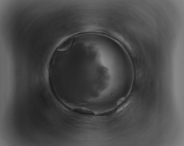 X0000100921463200806241334