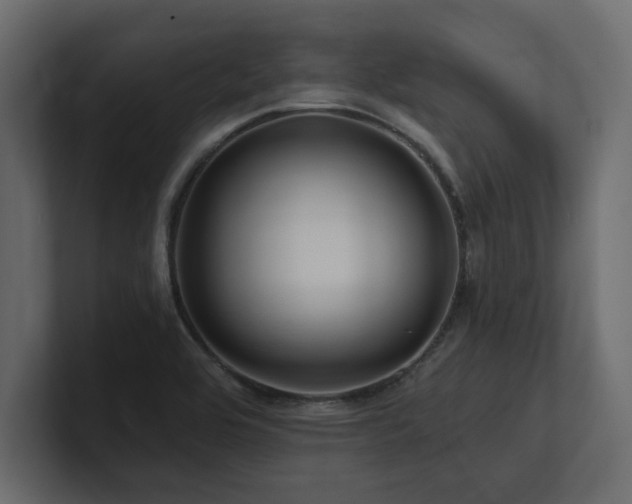X0000100921464200806241334