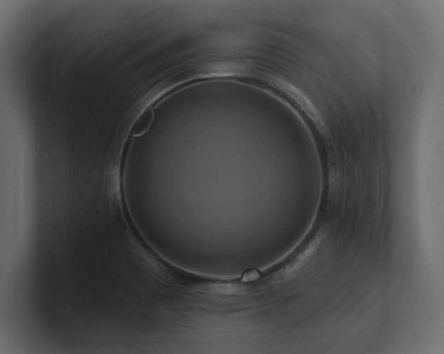 X0000100921465200806241334