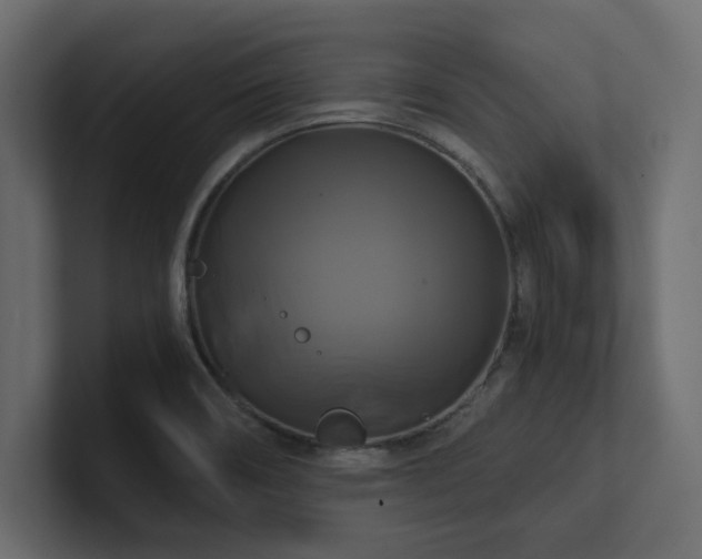 X0000100921466200806241334